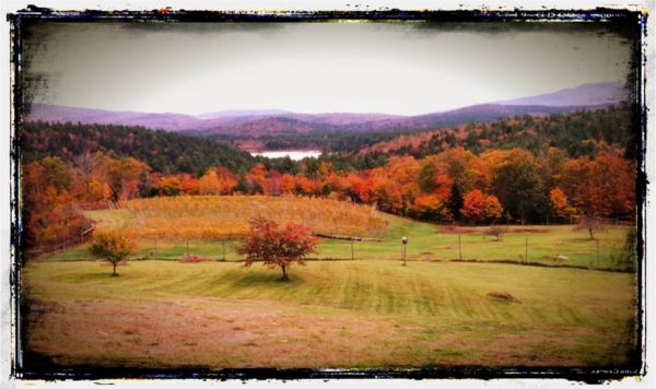 Haunting Whisper Vineyard & Spirits Haunting Whisper Vineyard & Spirits